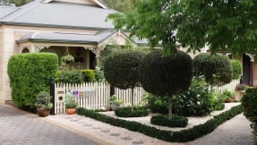 Winner Medium Garden - Egret Street